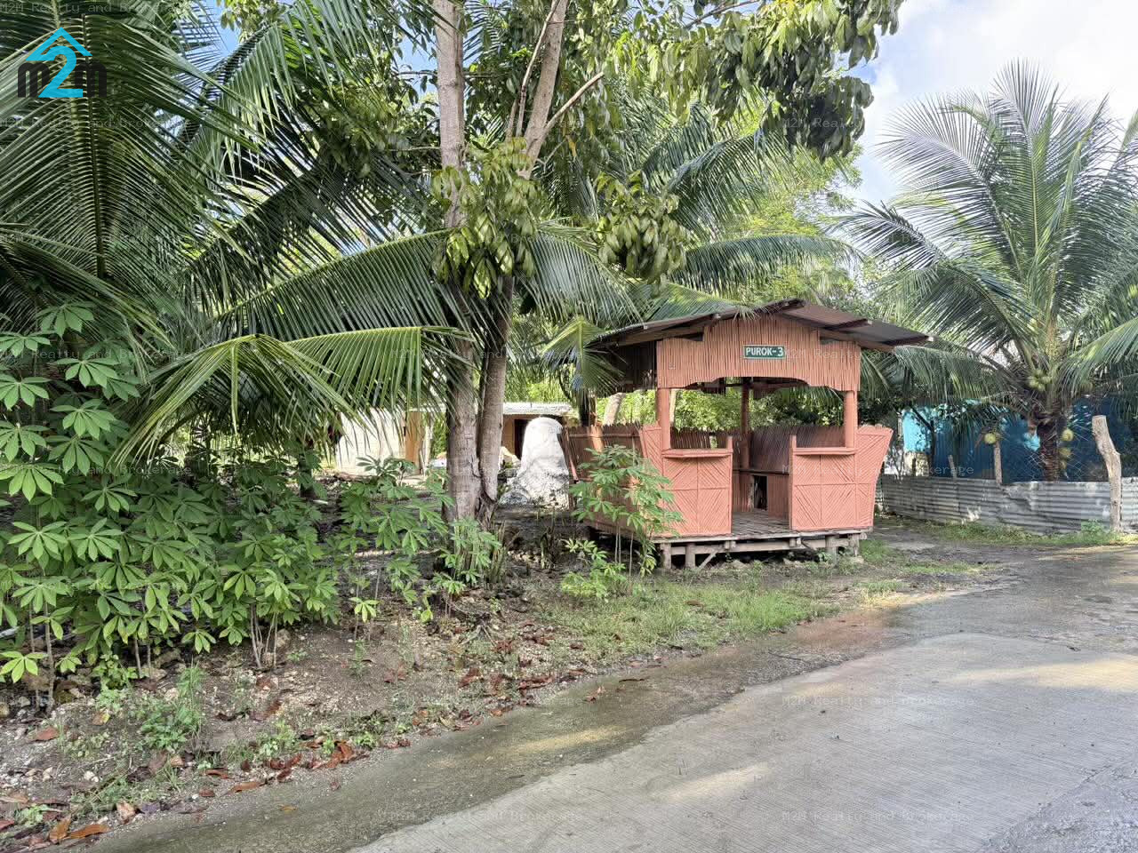 Banhigan, Badian, Cebu