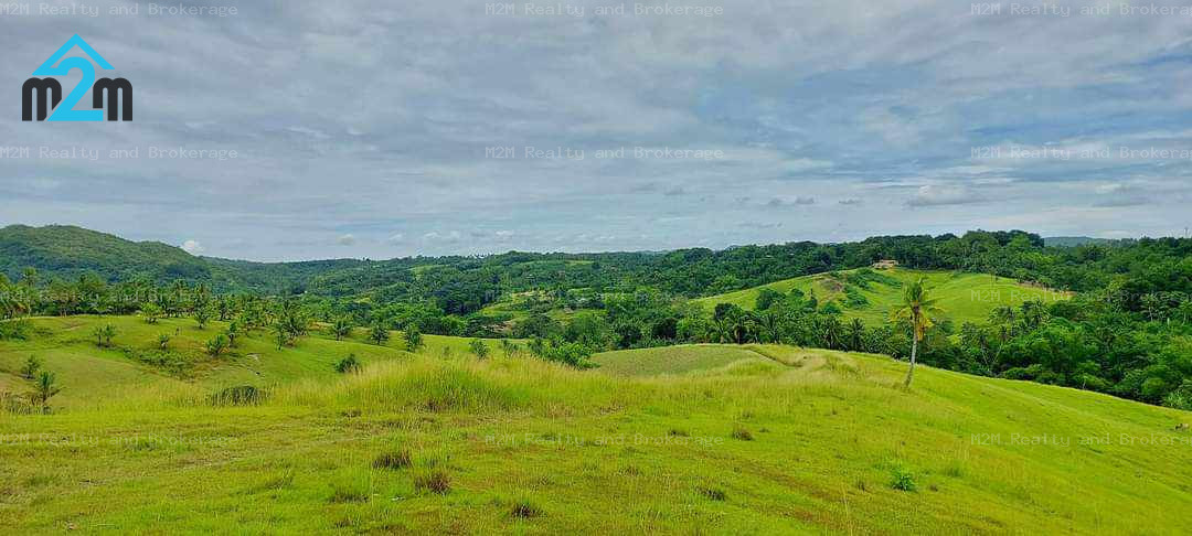 Ilihan, Tabogon, Cebu